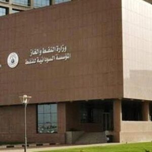 المالية تكشف عن تسهيلات لإنسياب المواد البترولية