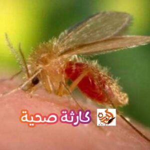 انتشار الأوبئة بالعاصمة والولايات.. بالأرقام_ وزير الصحة يكشف المثير